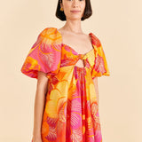 Summer Garden Mini Dress