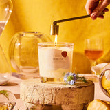 Mimosa 10 oz Candle