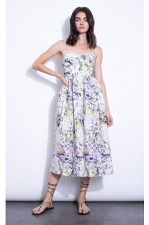 Allegra Print Midi Dress