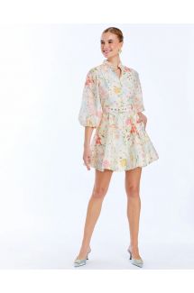 Valencia Mini Dress